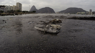 How Olympians Can Survive Swimming in Sewage<em></em><em></em>
